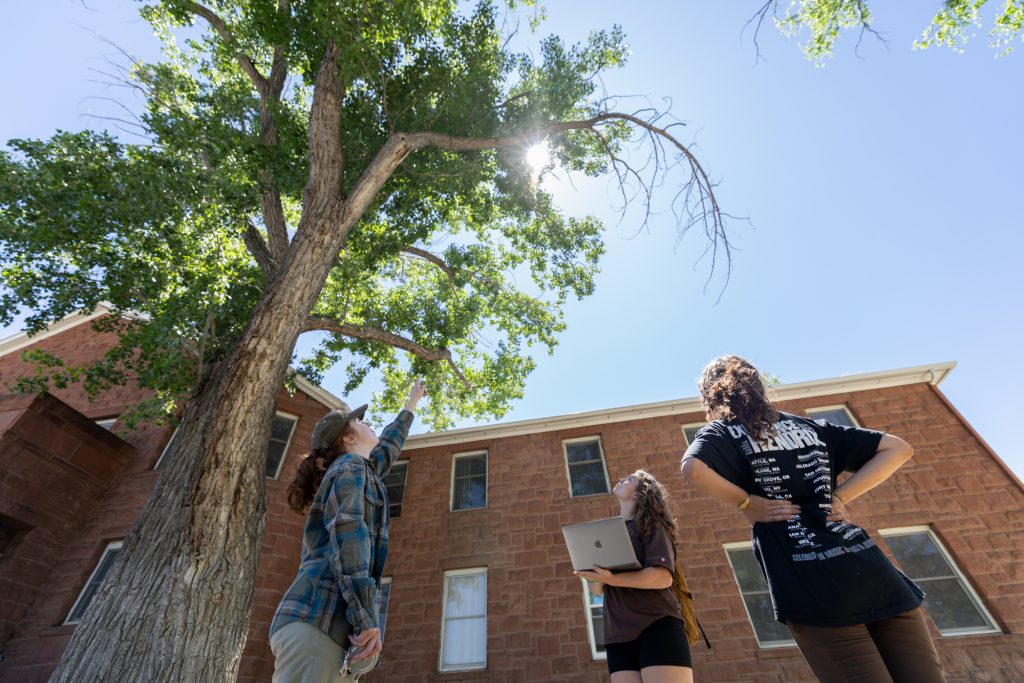 Three students observe tree next to NAU building.