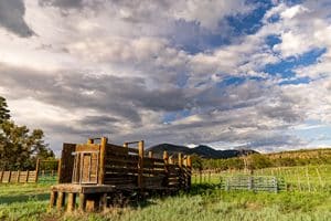 Small wooden structure at Hat Ranch