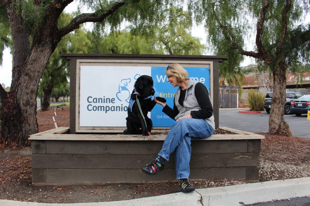 A woman in a grey jacket sits on the edge of a blue Canine Companions sign and shakes the paw of a black labrador retriever. The retriever is wearing a blue service vest.