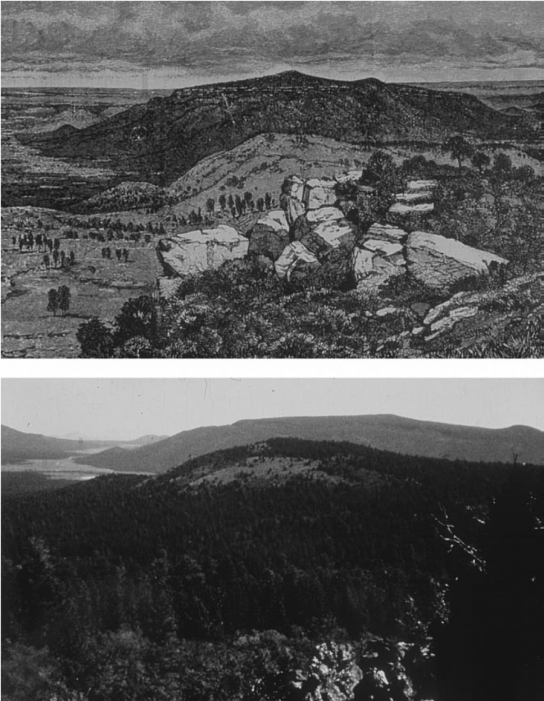 The top sketch of Mt. Trumbull by H. H. Nichols, created during John Wesley Powell’s 1870 expedition, depicts open forests with abundant vegetation. In the bottom photograph taken from the same location around 1994–1995, tree density greatly increased and herbaceous cover decreased over the intervening ~125 years.
