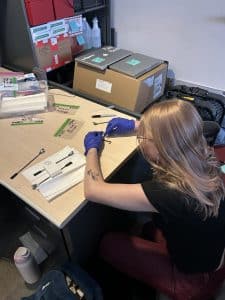 Research student working with samples of vermicomposting