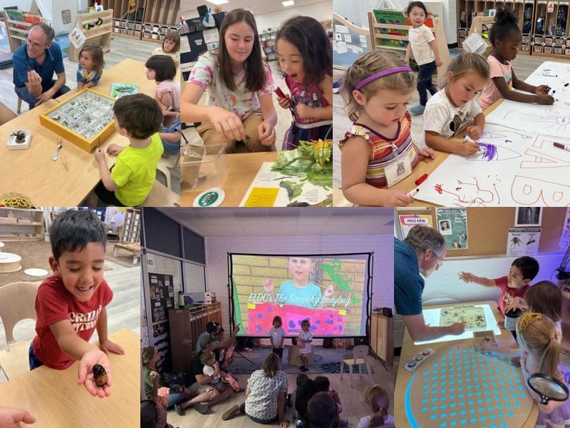 Collage of photos showing students holding bugs and designing a bug lab inside a daycare