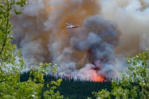 Emergency helicopter flying above a forest fire and billowing smoke