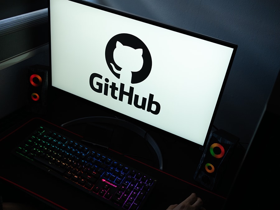 GitHub logo