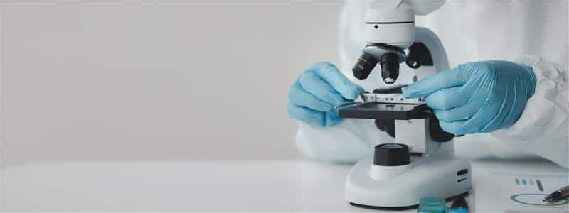 Gloved hands setting a slide down on a microscope