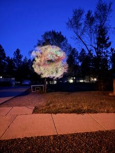 Animation projected on a tree