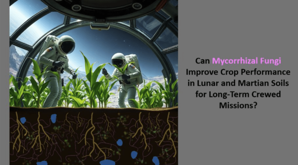 Astronauts growing food on the surface of the moon with the roots lit up to show fungi